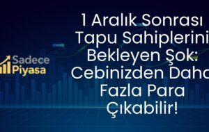Arpa ve mısır ithalatında tarife kontenjanları  yeniden belirlendi