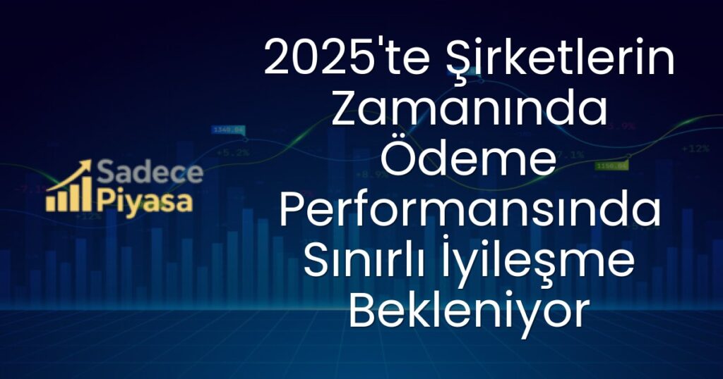 2025 Şirketlerin Ödeme Performansı