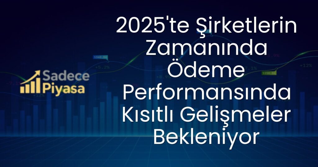 2025 Zamanında Ödeme Performansı