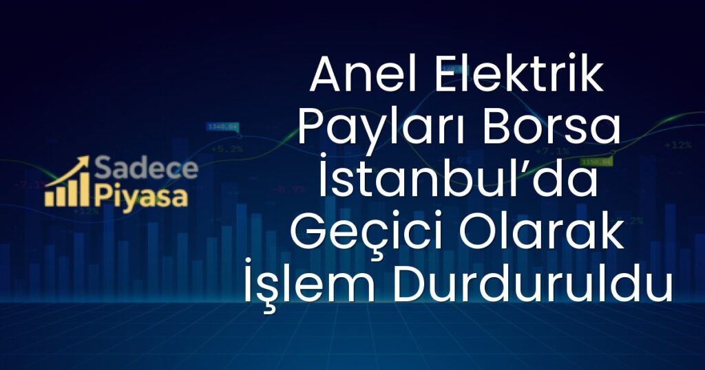 Anel Elektrik