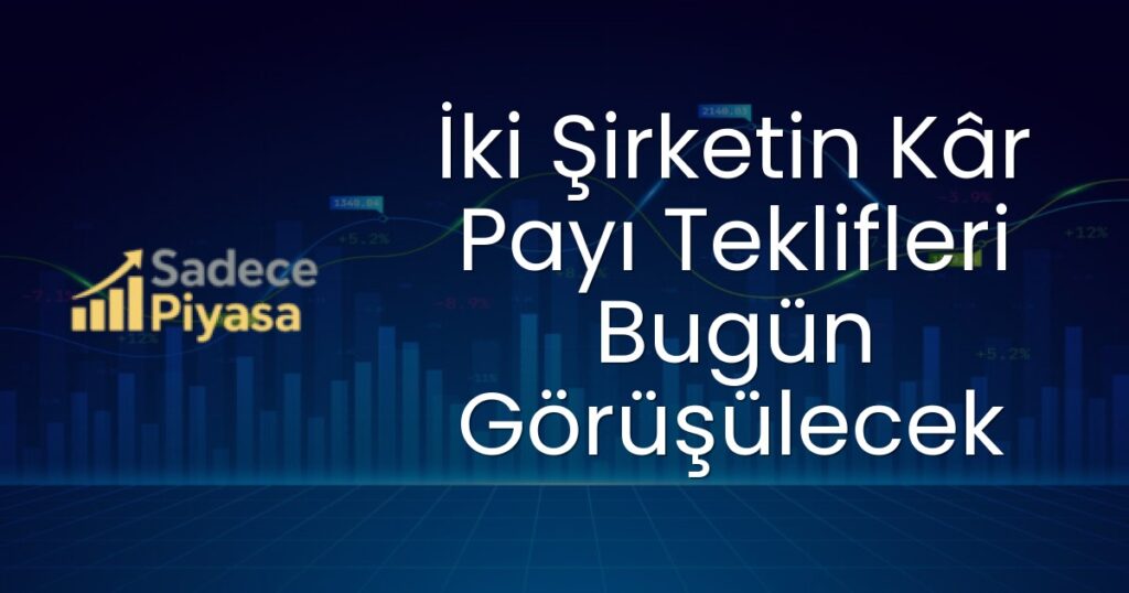 Anel Elektrik kâr payı