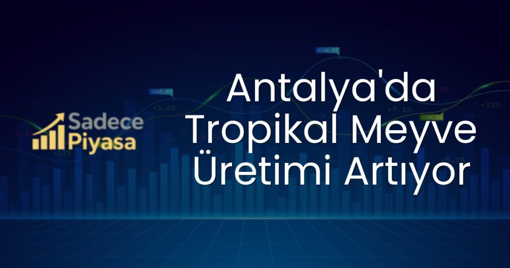 Antalya tropikal meyve üretimi