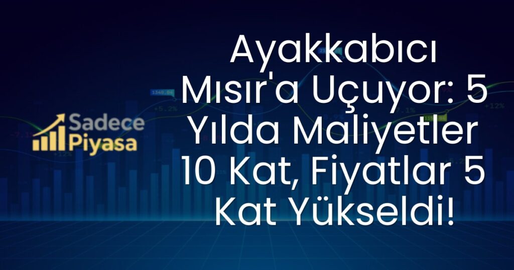 ayakkabı sektörü