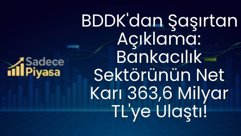 BDDK’dan Şaşırtan Açıklama: Bankacılık Sektörünün Net Karı 363,6 Milyar TL’ye Ulaştı!