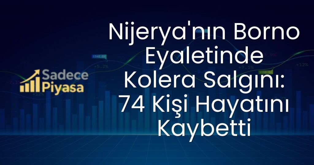 Borno Eyaleti Kolera Salgını