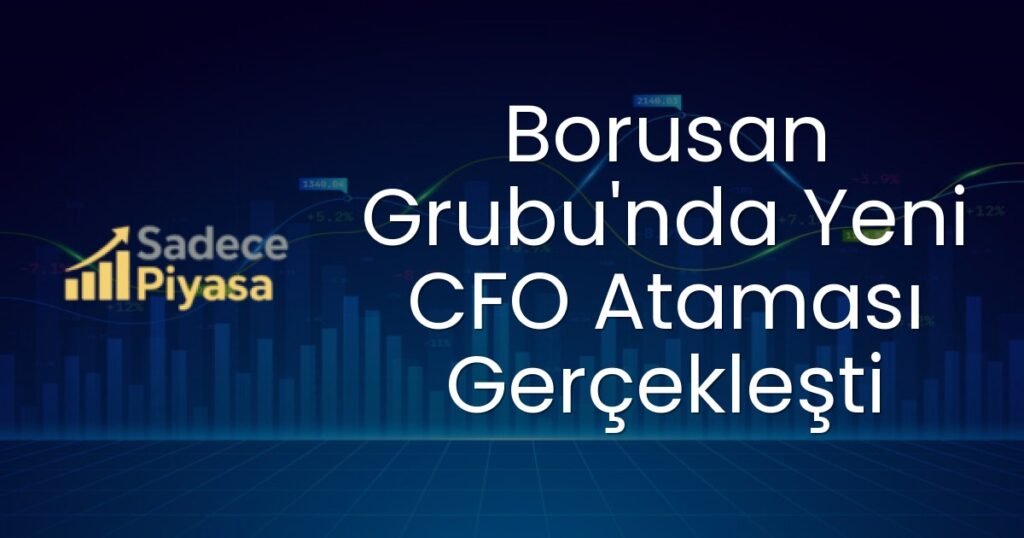Borusan Grubu