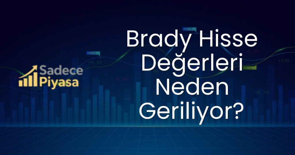 Brady hisseleri