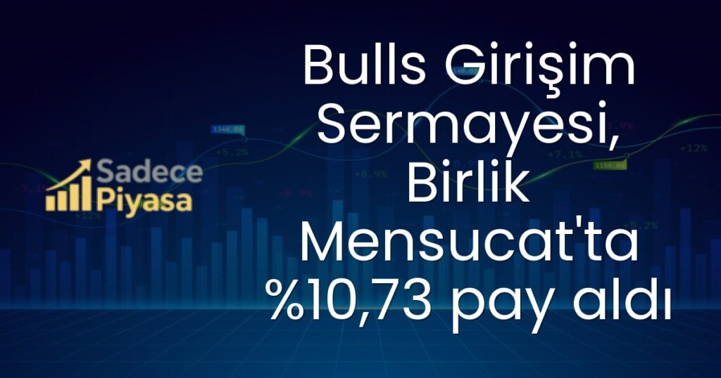 Bulls Girişim Sermayesi