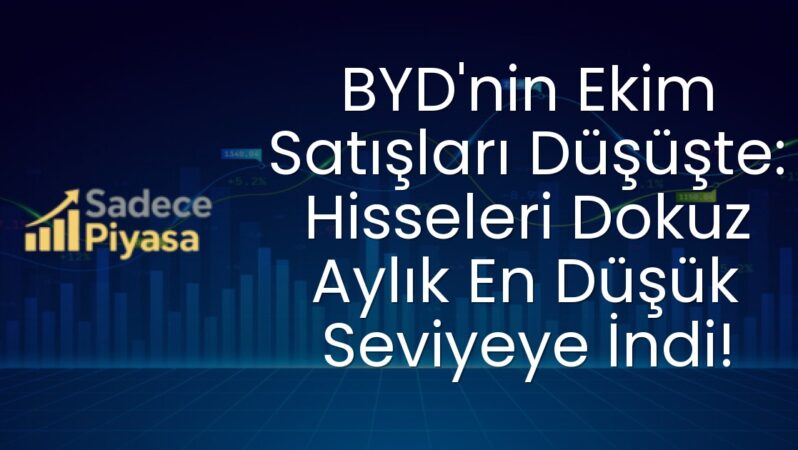 BYD’nin Ekim Satışları Düşüşte: Hisseleri Dokuz Aylık En Düşük Seviyeye İndi!