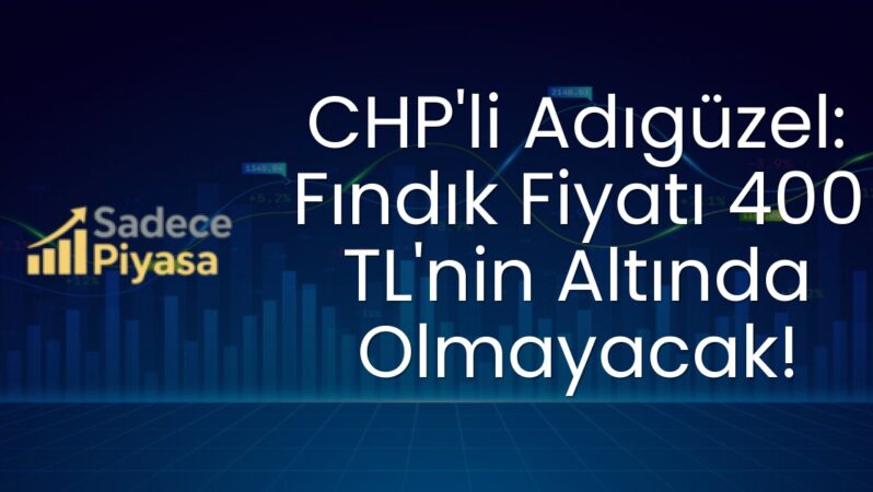 CHP’li Adıgüzel: Fındık Fiyatı 400 TL’nin Altında Olmayacak!