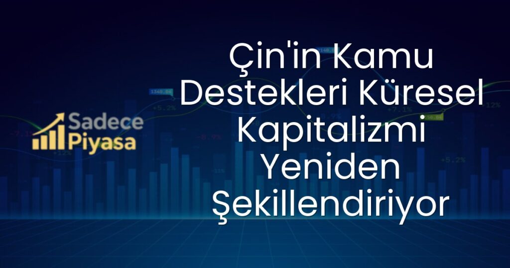 Çin kamu destekleri