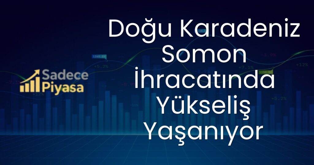 Doğu Karadeniz somon ihracatı