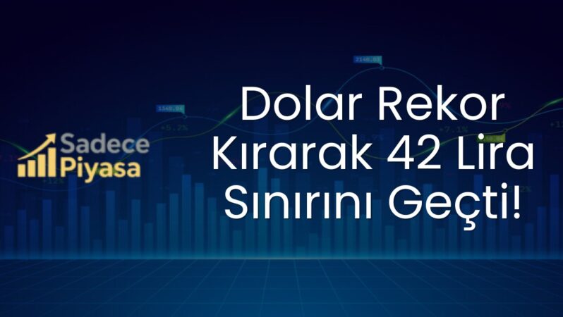 Dolar Rekor Kırarak 42 Lira Sınırını Geçti!