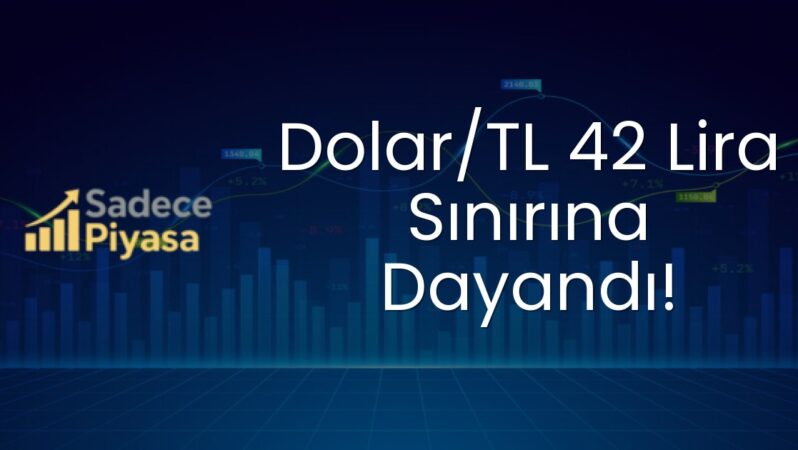 Dolar/TL 42 Lira Sınırına Dayandı!