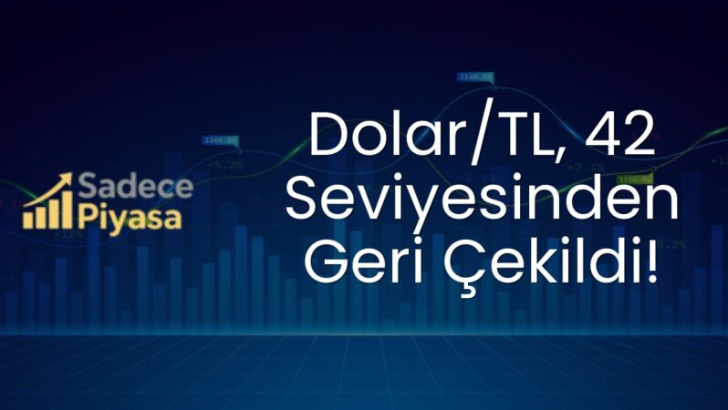 Dolar/TL, 42 Seviyesinden Geri Çekildi!