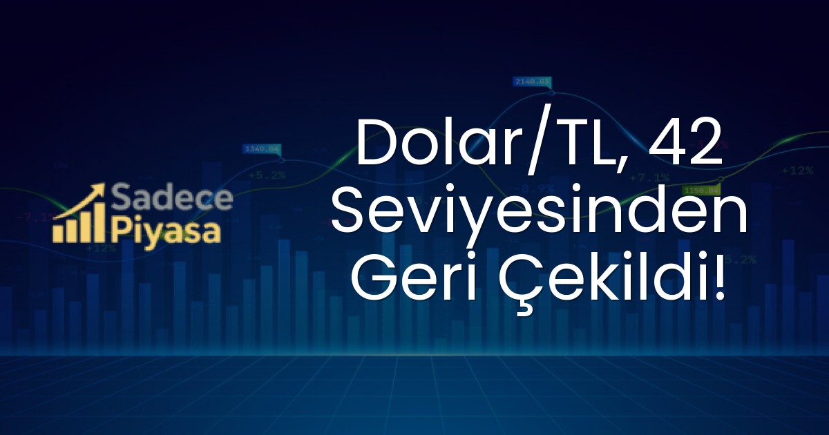 Dolar/TL, 42 Seviyesinden Geri Çekildi!