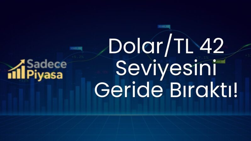 Dolar/TL 42 Seviyesini Geride Bıraktı!