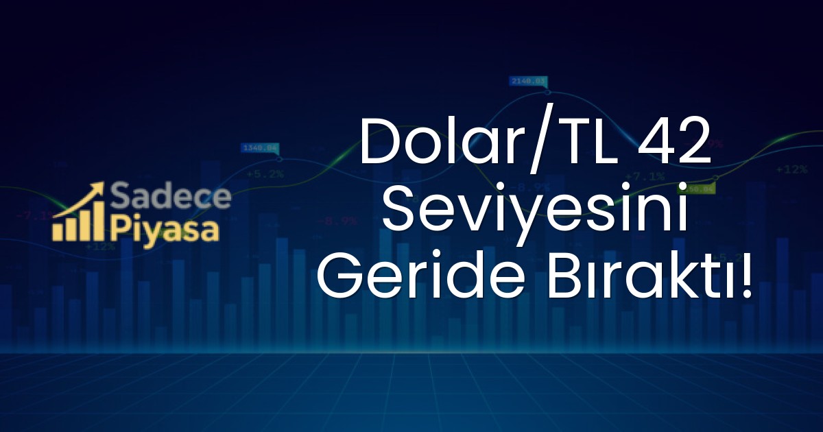 Dolar/TL 42 Seviyesini Geride Bıraktı!