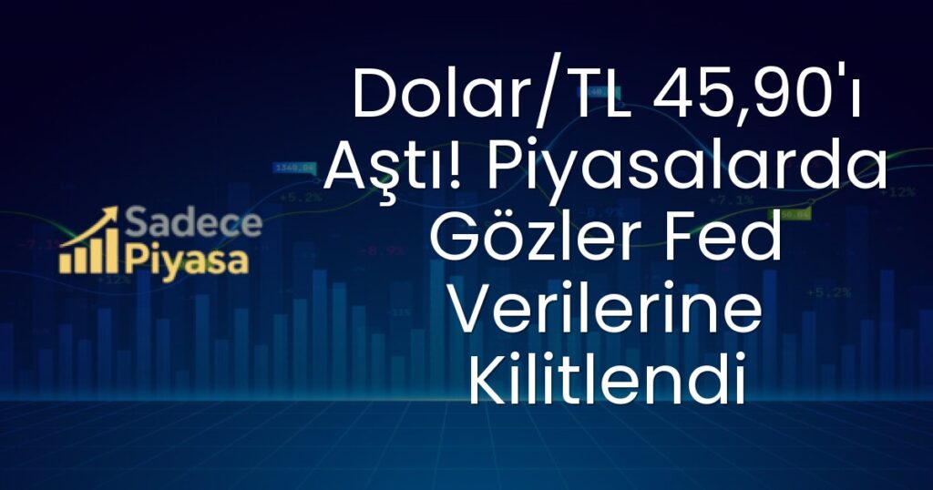 Dolar/TL