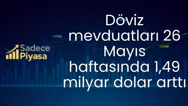 Döviz mevduatları 26 Mayıs haftasında 1,49 milyar dolar arttı