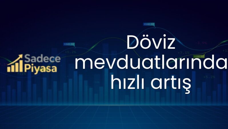 Döviz mevduatlarında hızlı artış