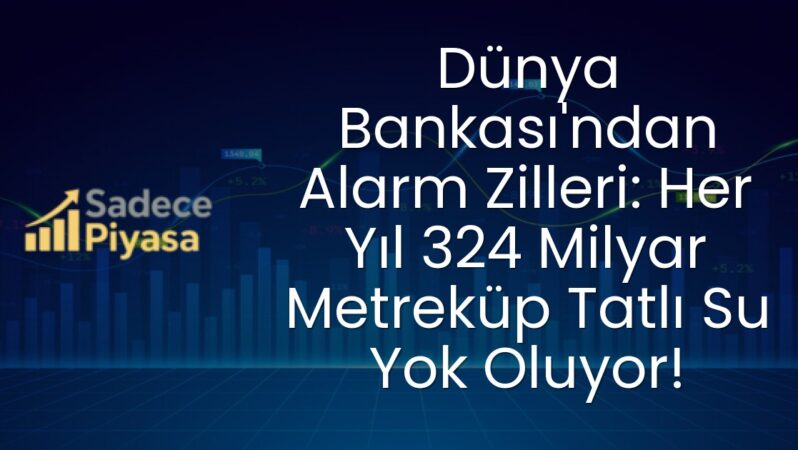 Dünya Bankası’ndan Alarm Zilleri: Her Yıl 324 Milyar Metreküp Tatlı Su Yok Oluyor!