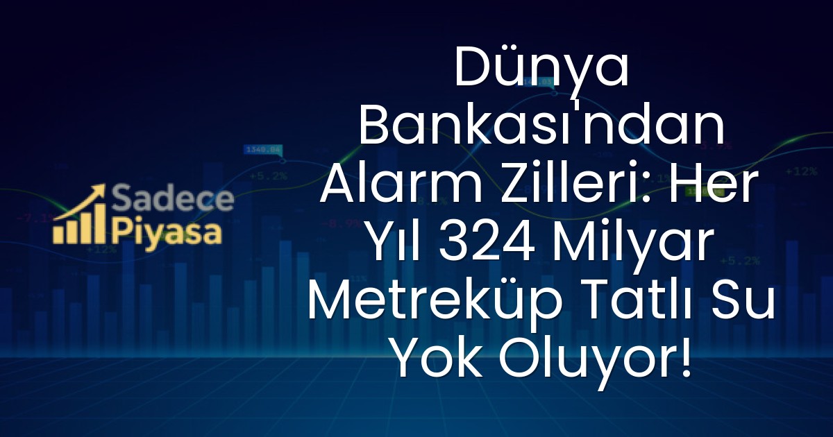 Dünya Bankası’ndan Alarm Zilleri: Her Yıl 324 Milyar Metreküp Tatlı Su Yok Oluyor!