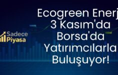 Ecogreen Enerji, 3 Kasım’da Borsa’da Yatırımcılarla Buluşuyor!