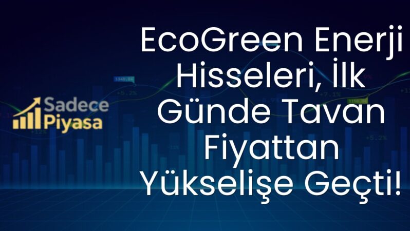 EcoGreen Enerji Hisseleri, İlk Günde Tavan Fiyattan Yükselişe Geçti!
