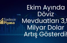 Ekim Ayında Döviz Mevduatları 3,5 Milyar Dolar Artış Gösterdi!