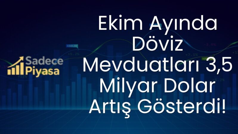 Ekim Ayında Döviz Mevduatları 3,5 Milyar Dolar Artış Gösterdi!