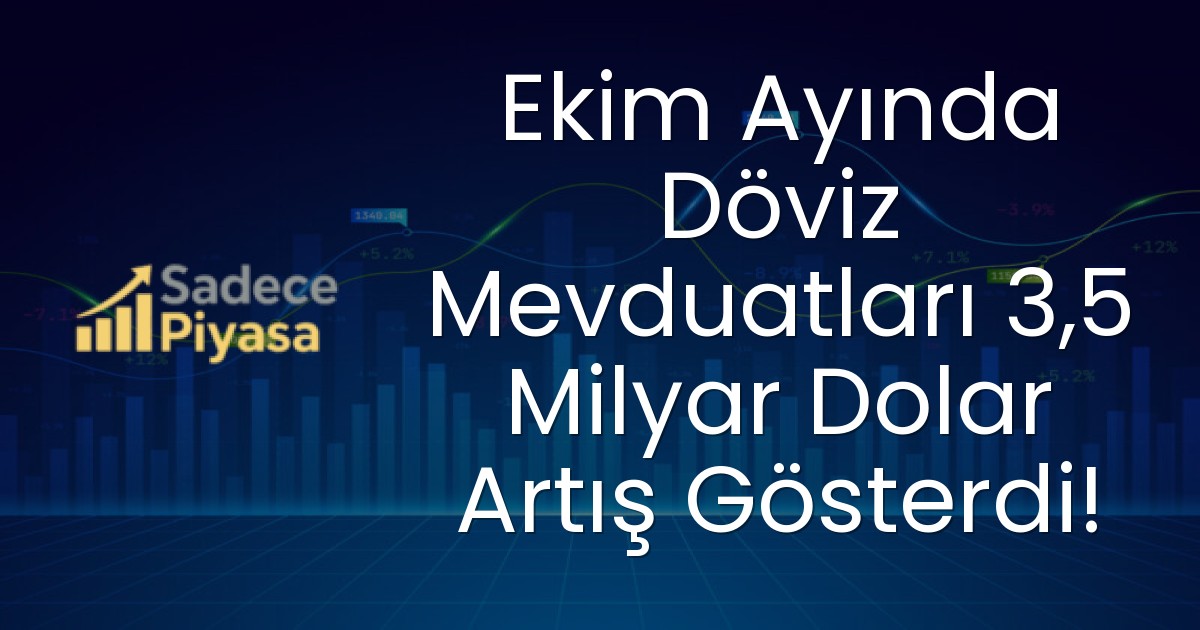 Ekim Ayında Döviz Mevduatları 3,5 Milyar Dolar Artış Gösterdi!