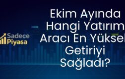 Ekim Ayında Hangi Yatırım Aracı En Yüksek Getiriyi Sağladı?