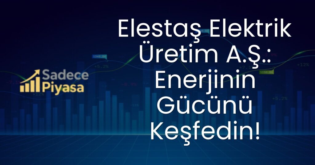 Elestaş Elektrik Üretim A.Ş.