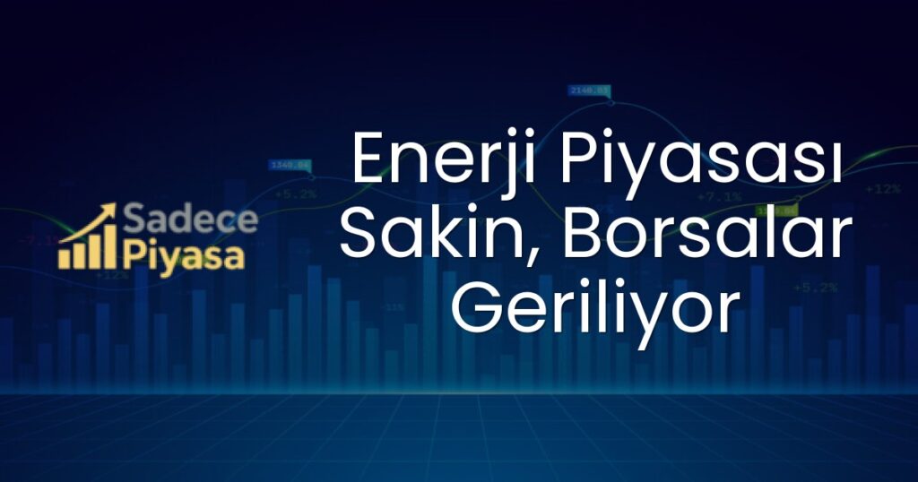 Enerji piyasası