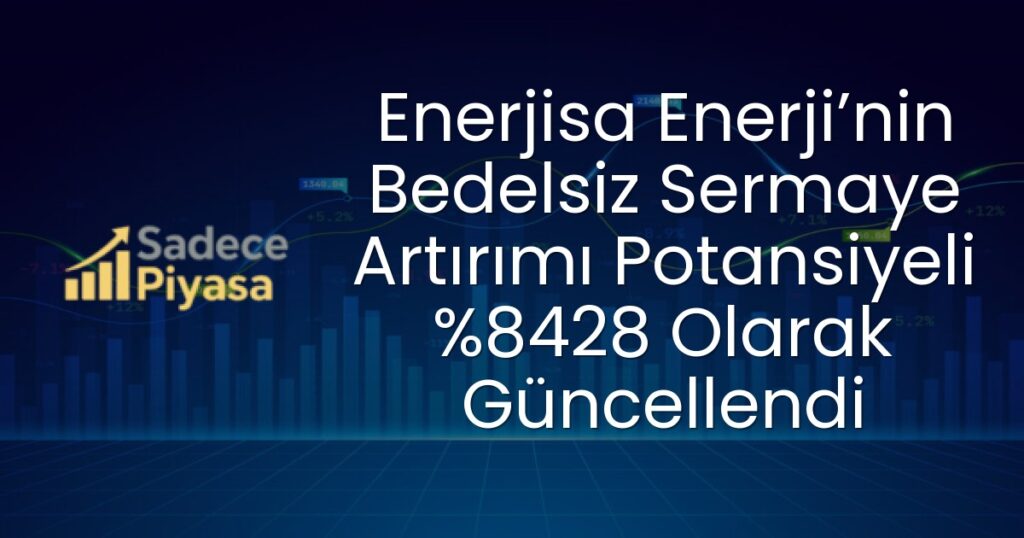 Enerjisa Enerji