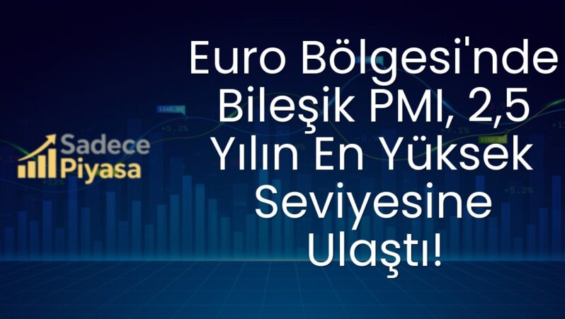 Euro Bölgesi’nde Bileşik PMI, 2,5 Yılın En Yüksek Seviyesine Ulaştı!