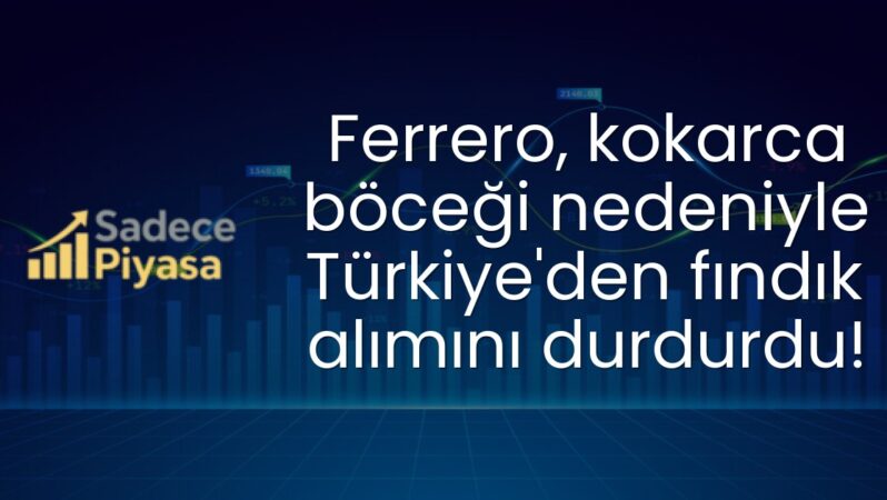 Ferrero, kokarca böceği nedeniyle Türkiye’den fındık alımını durdurdu!