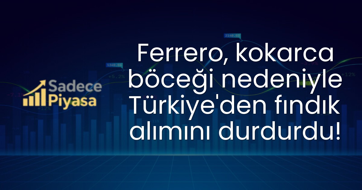 Ferrero, kokarca böceği nedeniyle Türkiye’den fındık alımını durdurdu!