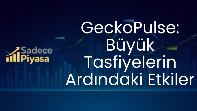 GeckoPulse: Büyük Tasfiyelerin Ardındaki Etkiler