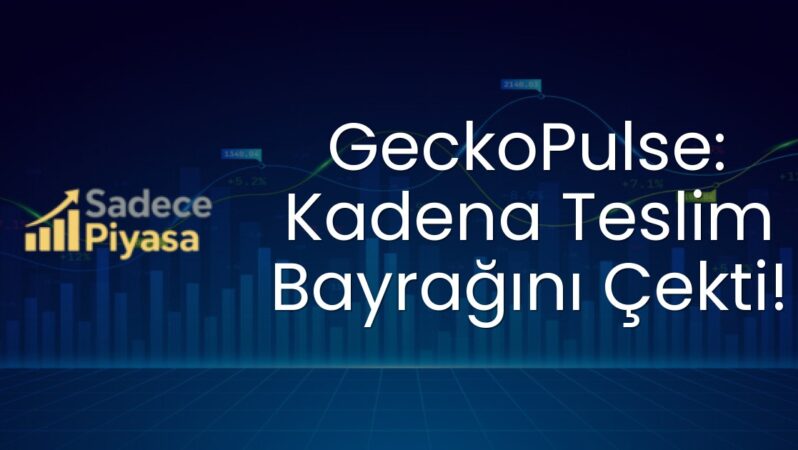 GeckoPulse: Kadena Teslim Bayrağını Çekti!