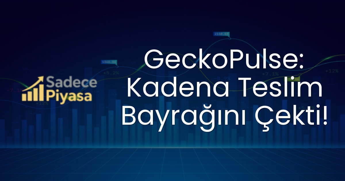 GeckoPulse: Kadena Teslim Bayrağını Çekti!