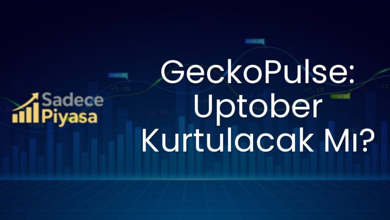 GeckoPulse: Uptober Kurtulacak Mı?