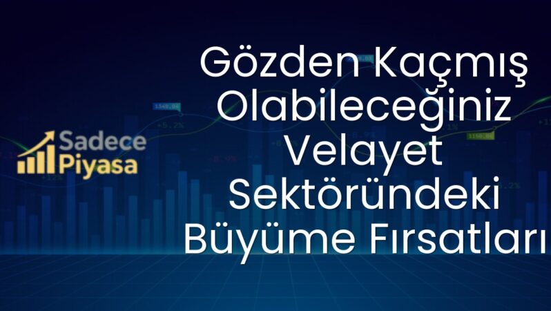 Gözden Kaçmış Olabileceğiniz Velayet Sektöründeki Büyüme Fırsatları