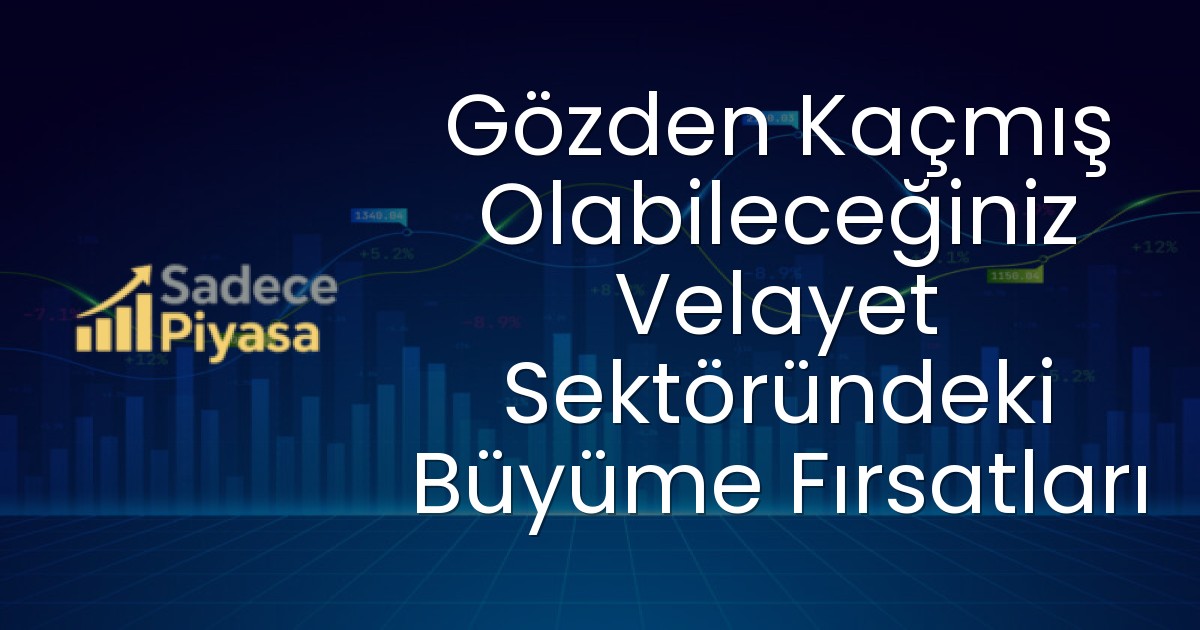 Gözden Kaçmış Olabileceğiniz Velayet Sektöründeki Büyüme Fırsatları
