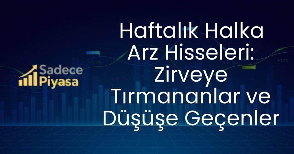 halka arz