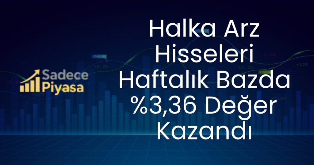 Halka arz hisseleri