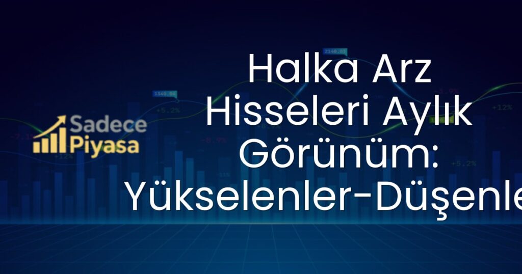 Halka Arz Hisseleri Aylık Görünüm: Yükselenler-Düşenler