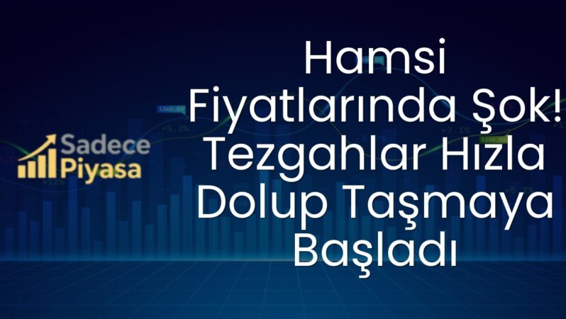 Hamsi Fiyatlarında Şok! Tezgahlar Hızla Dolup Taşmaya Başladı