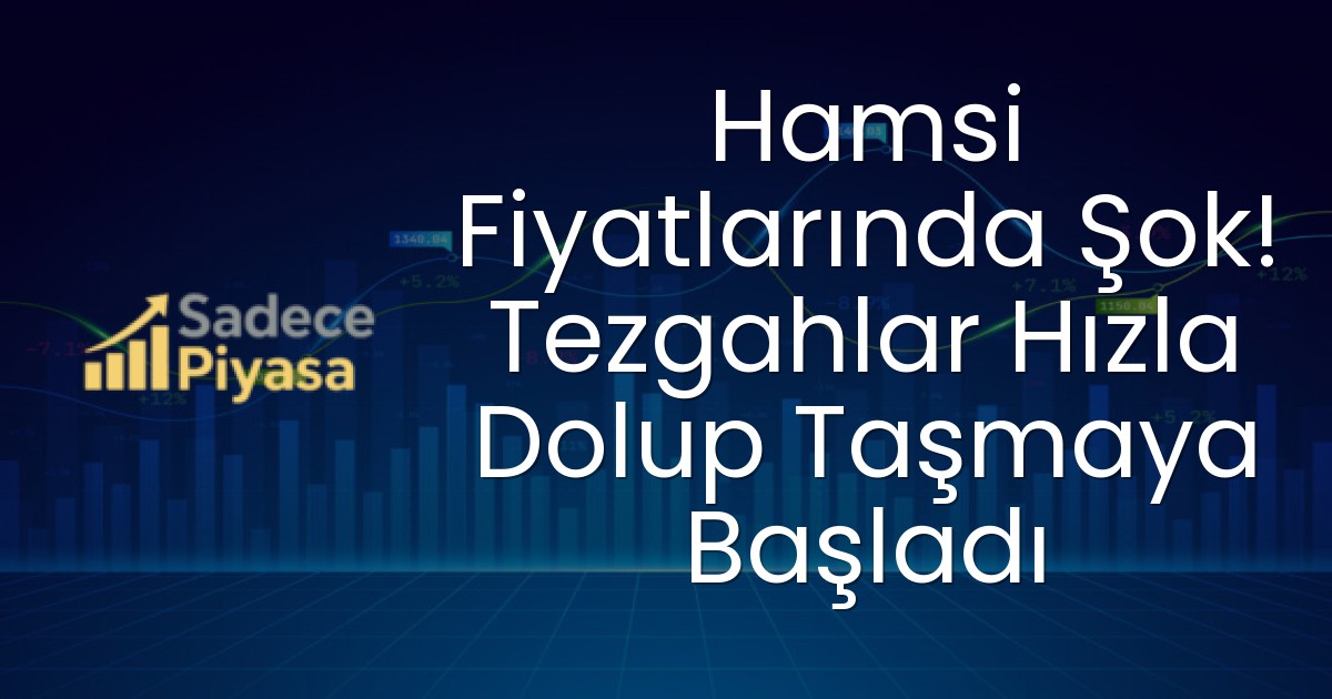 Hamsi Fiyatlarında Şok! Tezgahlar Hızla Dolup Taşmaya Başladı